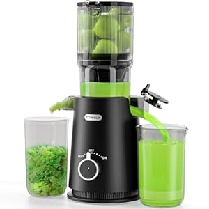 Juicer Machines, ECOSELF Cold Press Juicer with 4.35″ Large Feed Chute Fit Whole Fruits and Vegetables, Easy to Clean, Masticating Juicer Self Feeding Effortless for Batch Juicing, High Juice Yield