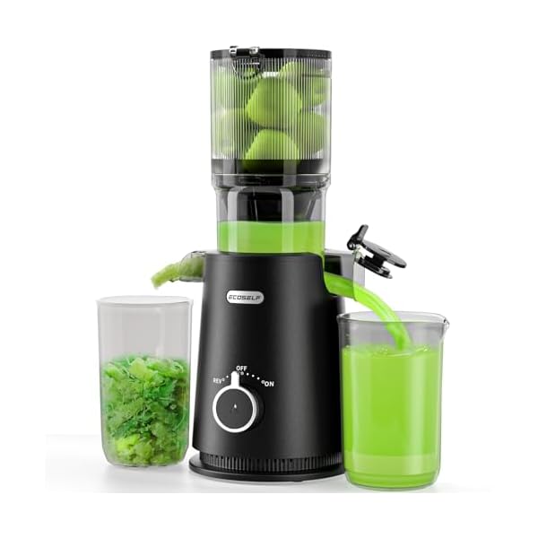 Juicer Machines, ECOSELF Cold Press Juicer with 4.35″ Large Feed Chute Fit Whole Fruits and Vegetables, Easy to Clean, Masticating Juicer Self Feeding Effortless for Batch Juicing, High Juice Yield