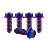Rison Titanium Flanged Hex Head Bolt - M8x1.25x20mm, 6AL4V Aerospace Grade Ti, Burnt Blue, Pack of 5