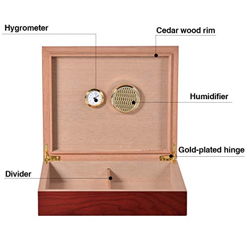 Volenx Cigar Humidor Case, Humidor Cigar Box with Hygrometer and Humidifier, Cedar Lined Cigar Case Hold 25 Cigars