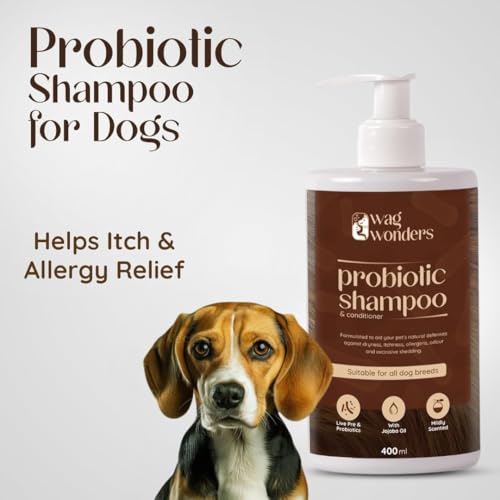 Image of 400ml Probiotic Shampoo for Dogs Natural Care, Helps in Improves Skin Health, Shinier Skin, Helps Itch & Allergy Relief, Reduced Odor, NO Sulphates, NO Parabens (Pack of 2)