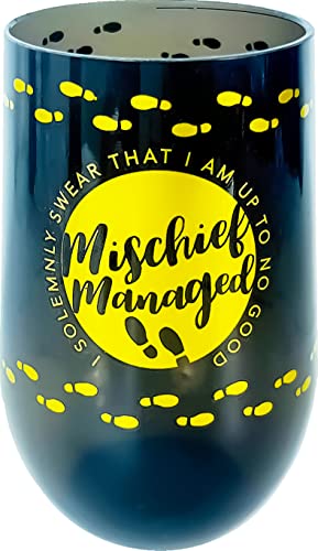 Spoontiques - Mischief Managed - Acrylic Wine Cup - Acrylic Wine Tumbler – Acrylic Stemless Wine Glass – 16Oz - 5 5/8” Tall #TOP17