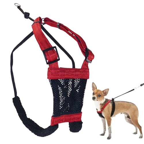 Image of Sporn XS No Pull Dog Harness for Small Sized Dogs - Extra Small, Red, Adjustable, Padded, Easy On and Off Mesh Puppy Harness, Prevents Pulling and Choking