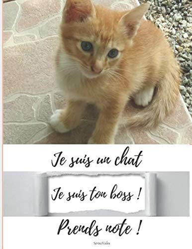 Je suis un chat Je suis ton boss ! Prends note ! (French Edition)