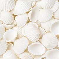 HcvGcm 100 Natürliche Weiße Muscheln Zum Basteln, 2-3 cm Muscheln Deko Für DIY Schmuck, Hochzeit, Party, Aquarium Und Heimdekoration, Muscheln Zum Bemalen