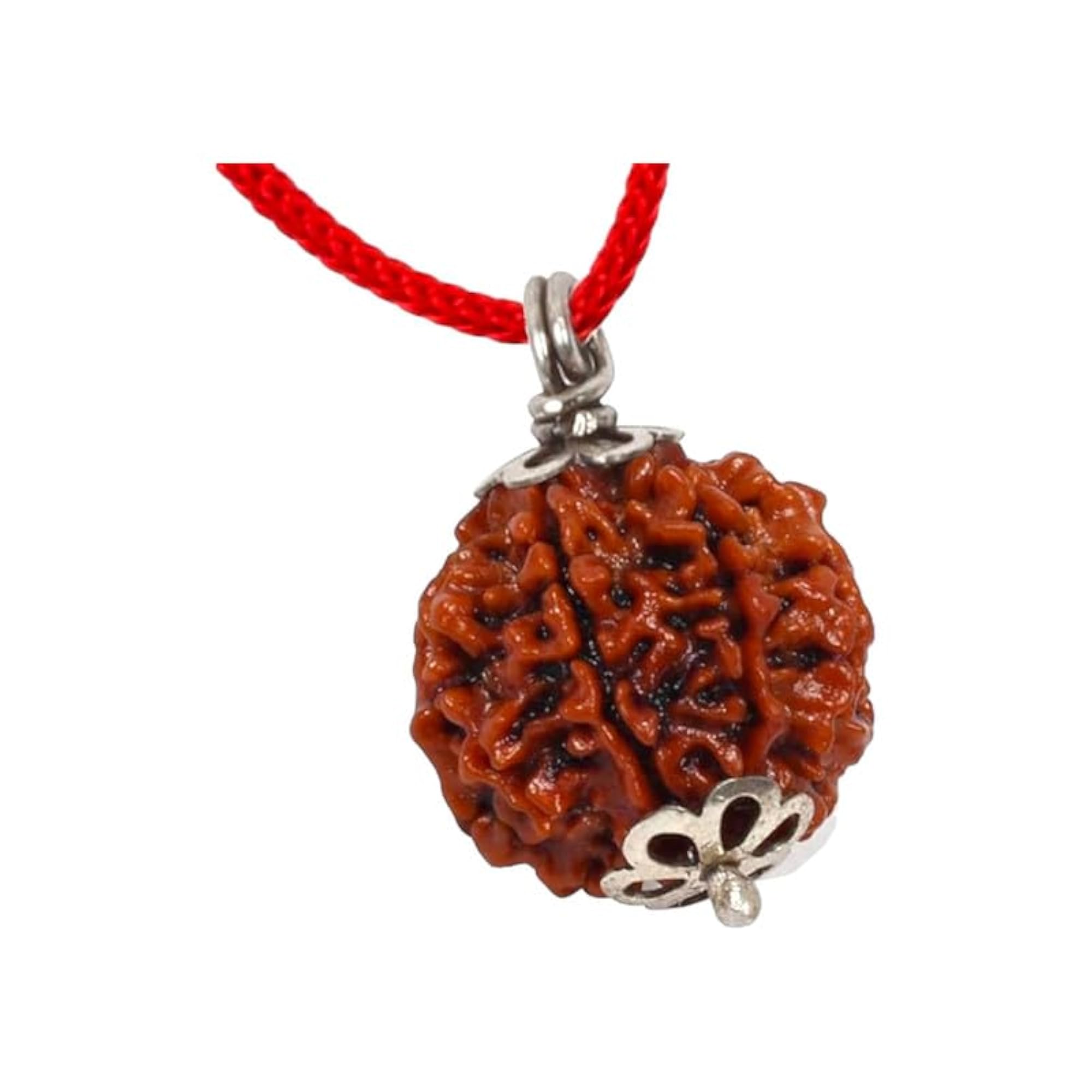 4 Mukhi Rudraksha Bead, Certified for Pendant Making