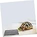Kisangel 2pcs Reptile Tank Accessory Nail Polishing Bowl Turtle Basking Platform Decorative Rocks