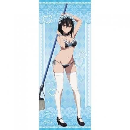 ストライク・ザ・ブラッド 雪菜 描き下ろし特大タペストリー ナース水着 tape_stb42-big_1.jpg