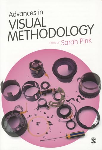 Advances In Visual Methodology view 2