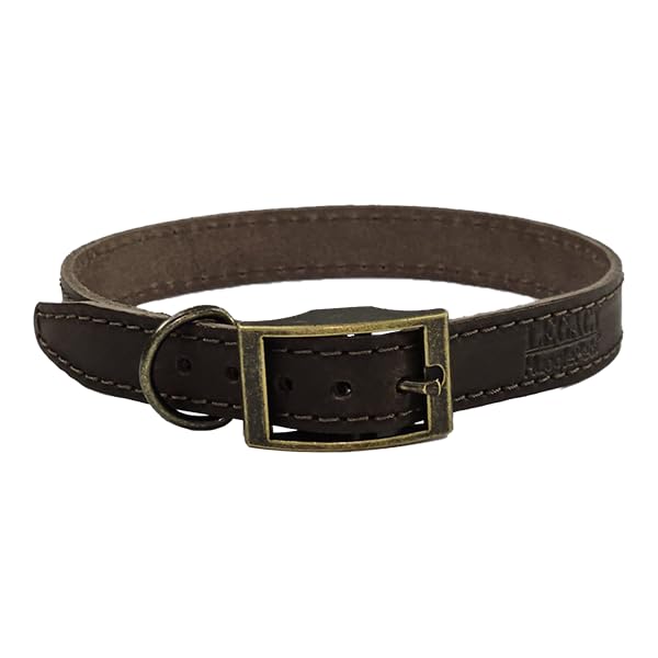 HugglePets Legacy Leather Dog Collar, Chocolate (Medium