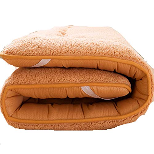 BEIGOO Japonés Futon Colchón,Plegable Antideslizante Esteras del Tatami Suave Cómodo Alivio De La Presión para Residencias De Estudiantes Hogar Colchón-A-60x120cm(24x47inch)