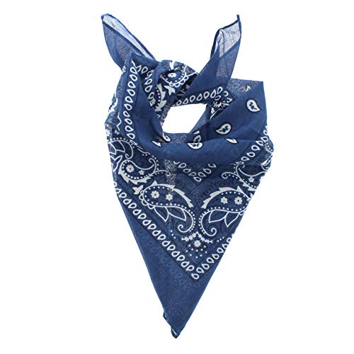 Zac's Alter Ego Retro Vintage Style Cowboy Paisley Bandana/N