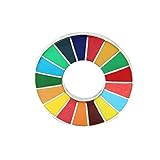 Sustainable Development Goals Brooch,United Nations SDGs Pin Badge,SDGs Rainbow Brooch Lapel Pin,SDGs Enamel Pin for Clothing Backpack Hat Decoration