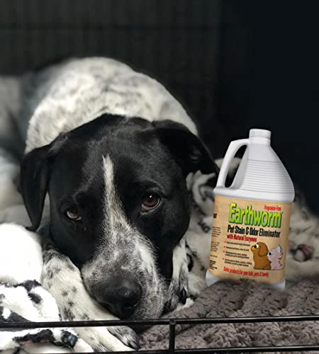 Image of Earthworm Pet Stain Remover & Odor Eliminator- Removes Urine Smell with Natural Enzyme Formula, Fragrance Free Spray - 64 oz