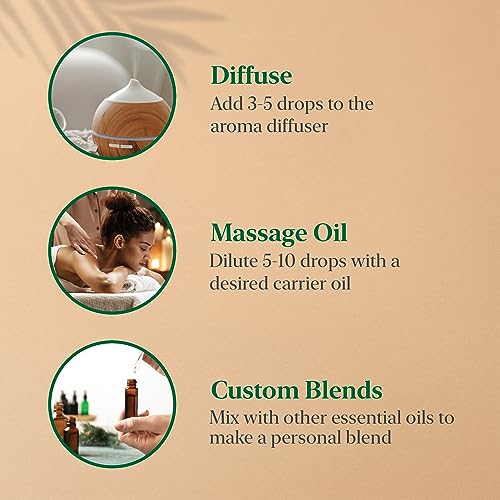 Majestic Pure MP_USDASET Usda Organic Essential Oils Set thumb #5