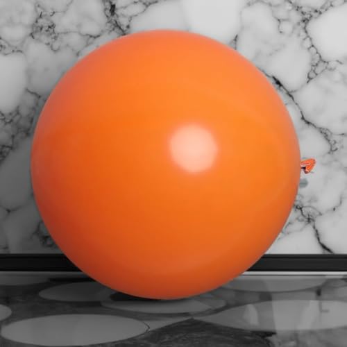 Syfunny  D 100cm IWF o[ 傫 WCAgo[ 10 (1) [sAi]