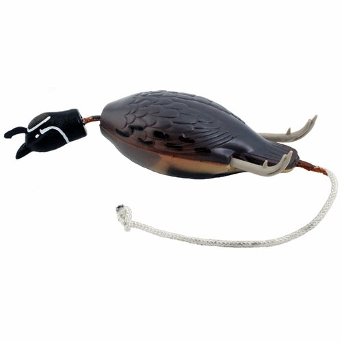 Dokkens Dead Fowl Trainers - Gambels Quail