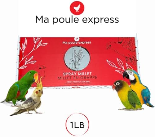 Ma Poule Express Worlds Freshest Sun-Dried Spray Millet GMO and Pesticide Free Original Bird Treat and Supplement for All Pet Birds Parakeets, Cockatiels and Finches 1 Lb — view 6