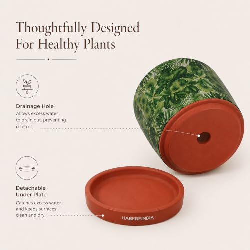 Image of Habere India-All the Cultures Fabricating India Pot for Plants | Flower Pots for Garden, Dining Table & Home Decor | Terracotta Flower Pot for Living Room Decoration (Red & Green, Dia11 x H10.5 cm)