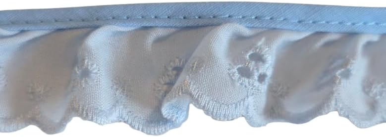Generic Ruffled Eyelet Lace Blue Ribbon Fabric Trim Edge for Sewing Bridal, Baby Clothes, Blankets, Pillows DIY Decorations (1 Inch x 20 Continuous Yards)