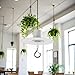 Tustao White Adhesive Ceiling Hook - Weight-Bearing Stick-On Ceiling Hook, Drill Free Hanging with Safety Clasp, Water Resistant Hooks for Ceiling Plants Chimes, Industrial Hooks,Utility Hooks