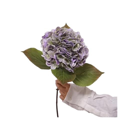 CSFH(ȓX) 4荂ebNXAWTCԃA^b`AWTCz[fR[Vp[eB[EFfBOt[AWg(Purple green)