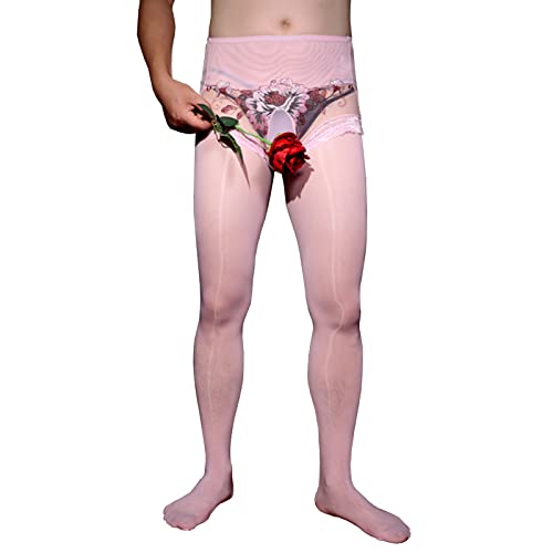 LESOYA Men's Sexy Sissy Lace and Nylon Sheer Low Rise Pantyhose Oil Shiny Glossy Shaping Stockings Underwear