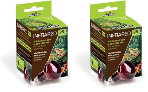Ampoule chauffante infrarouge résout le problème de froid dans les petits terrariums 25W