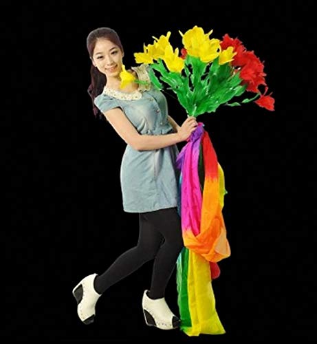Ruban de soie pour deux bouquets Silk & Cane Magic Tricks accessoire scène