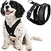 Gooby - Comfort X Head-in Harness, Choke Free Small Dog Harness with Micro Suede Trimming and Patented X Frame, Black, Small