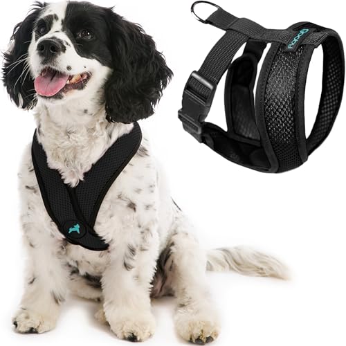 Gooby Comfort X Hundegeschirr zum Ziehen über den Kopf, komfortabel, kein Ziehen, für kleine bis mittelgroße Hunde, Würgeschutz, X-Design, für unterwegs, für Innen- und Außenbereich, Größe M, Schwarz