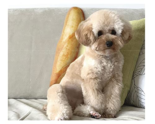 わんこのパン屋さん 蹴り抱きベーカリー フランスパン（日本製）