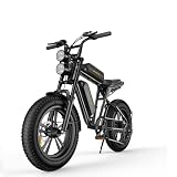 Nothing burger Dual Battery Electric Bike 48V 13Ah 28 MPH 90 Miles Range Removable Lithium Battery, 750W (Peak 1000W) 55NM Hub-Motor Electric Bikes, 20" Fat Tyre Electric Bike 7 Speeds(Black) -  Shenzhen Engwe