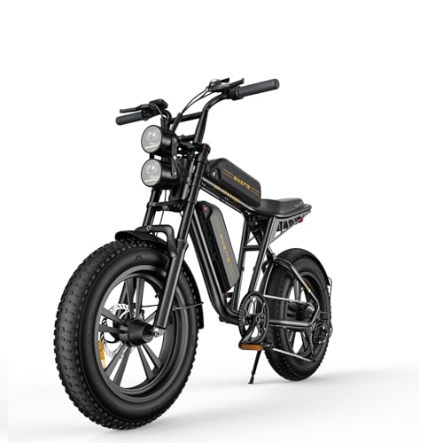 Nothing burger Dual Battery Electric Bike 48V 13Ah 28 MPH 90 Miles Range Removable Lithium Battery, 750W (Peak 1000W) 55NM Hub-Motor Electric Bikes, 20" Fat Tyre Electric Bike 7 Speeds(Black) -  Shenzhen Engwe