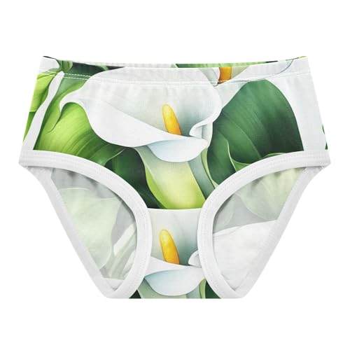 Toddler Girls Underwear 2t Cotton Girl Panties Cute Fancy Kids Undies Briefs White Calla Lilies Lush Green Leaves