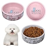2 Pcs 5 Inch Ceramic Dog Bowls Dishes for Small Dogs Cute Cartoon Pattern Puppy Cat Bowls Heavy Food Water Dishes for Pets Feeding Travel, Dishwasher Safe Microwave Safe(Pink and Gray)