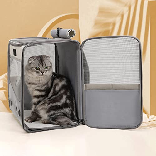 Generic Mochila para transporte de gatos de estimação para cães bolsa de viagem transparente com par