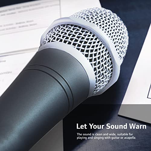 Carol Dynamic Microphone With Super-Cardioid E Dur-916S, Optimized For All Vocal Applications, Minimizes Handling Noise Without Compromising Sound Quality (Silver Edition) (Silver) #TOP5