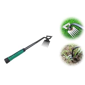 Mafhvv 6 Zähne Unkrautstecher Werkzeug 2024
