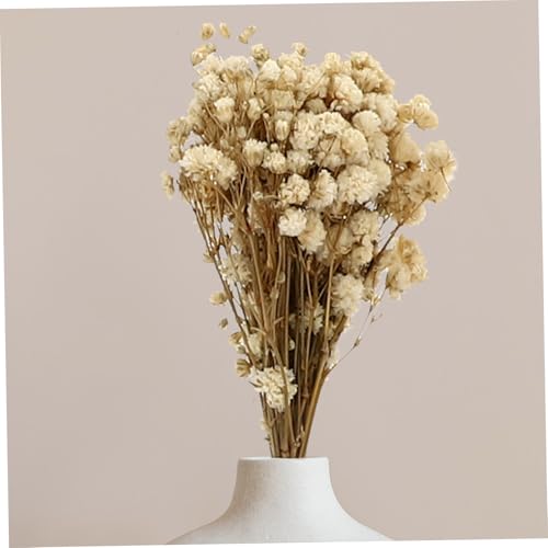 Set de 6 Ramilletes de Flores Secas Babysbreath Decorativas miniatura 3