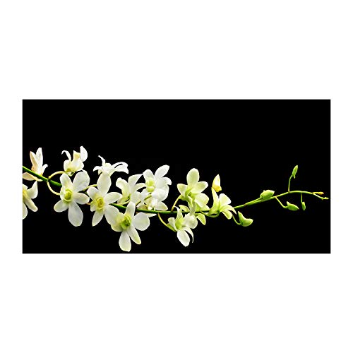 Dosseret en verre Tulup 100x50cm pour une cuisine moderne inspirée par la nature fleurie