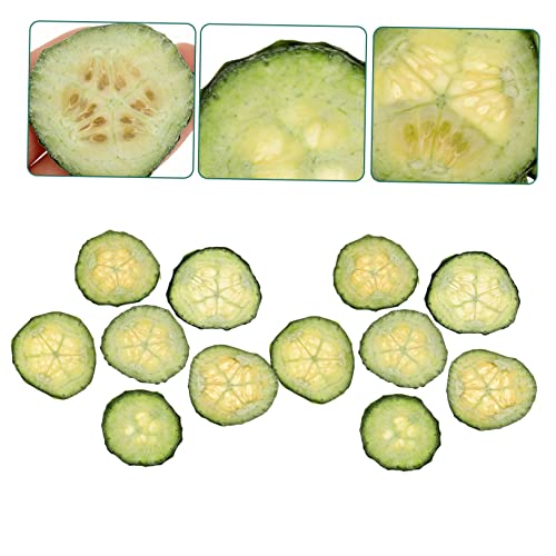 12 piezas de rodajas de pepino secas para manualidades miniatura 7