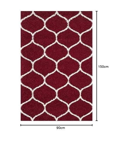 Image of Presence Gorgeous Design of Super Soft Shaggy Carpet for Living Room, Bedroom, Hall and Anywhere in Home. [3x5 feet]