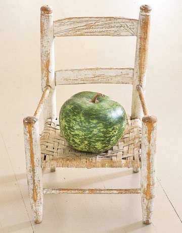 1182-Giant Apple Gourd (Lagenaria Siceraria) Seeds By Robsrareandgiantseeds Upc0764425788270 Non-Gmo,Organic,Artisans,World's Biggest,Birdhouses,Usa Grower,Competitions,1182 Package Of 8 Seeds #TOP5