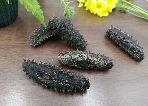Amazon.co.jp: 【北海道産】B級品乾燥なまこ 500g入 天然ナマコ (L