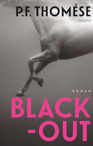 Preisvergleich Produktbild Black-out: roman