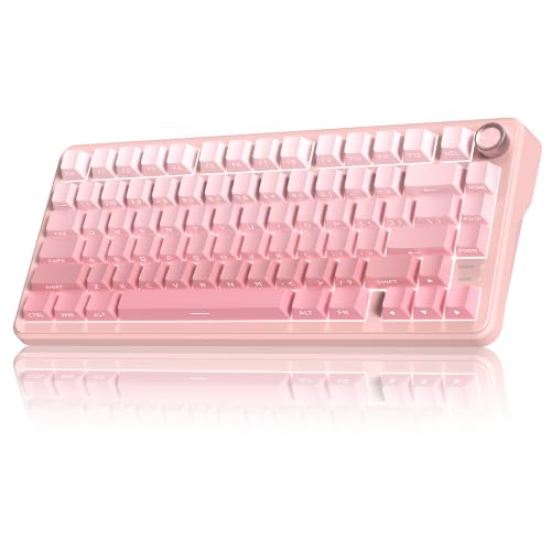 RedThunder K75 Wireless Mechanical Gaming Keyboard, 75% Hot Swappable Creamy Keyboard with Knob, RGB Backlit, Pre-lubed Switches, Side Engraved PBT Keycaps, Wireless/Wired/BT5.0, Gradient Sakura Pink