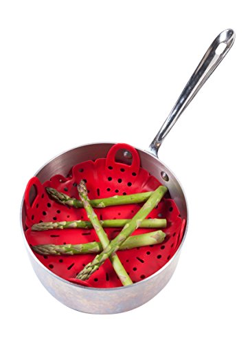 Fresh 4 U Silicone Vegetable Steamer #TOP2
