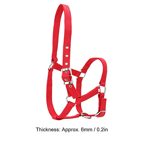 Halster voor paarden, hoofdstel voor paardenbesturing, verstelbare accessoire voor paardrijden met gesp voor fixatie Horse Control Horse - Afbeelding 8