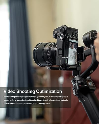 VILTROX 75mm f/1.2 F1.2 EF PRO EF Lens for Sony E-Mount Ultra Wide Angle APS-C Auto Focus Prime Lens Compatible with Sony E-Mount Mirrorless Cameras A7M/R/S Series A7Cc A9 A1 A6x00 Fs5